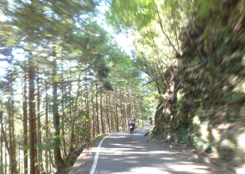 c0339546_21465677.jpg
