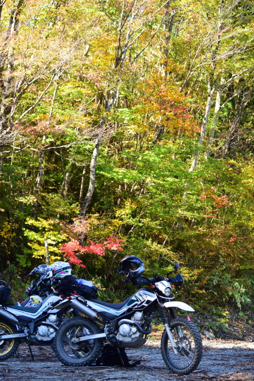 c0339546_21491133.jpg