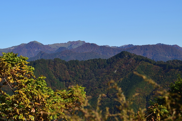 c0339546_21492354.jpg