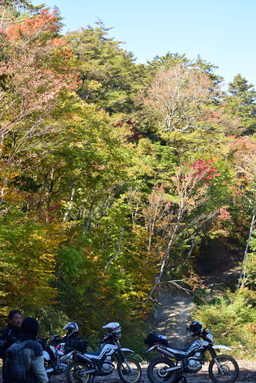 c0339546_215032.jpg