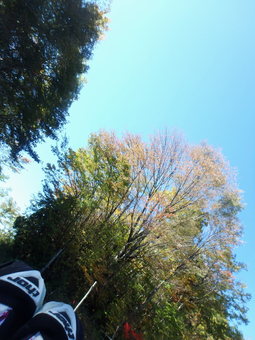 c0339546_2150731.jpg