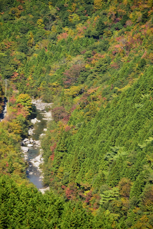 c0339546_21515667.jpg