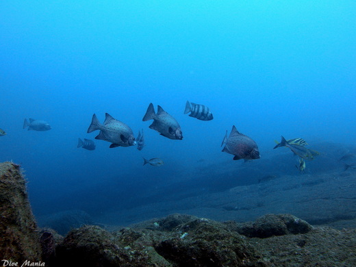 b0236647_9322680.jpg