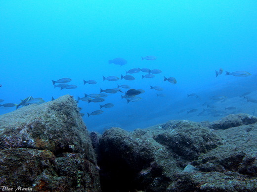 b0236647_93347.jpg