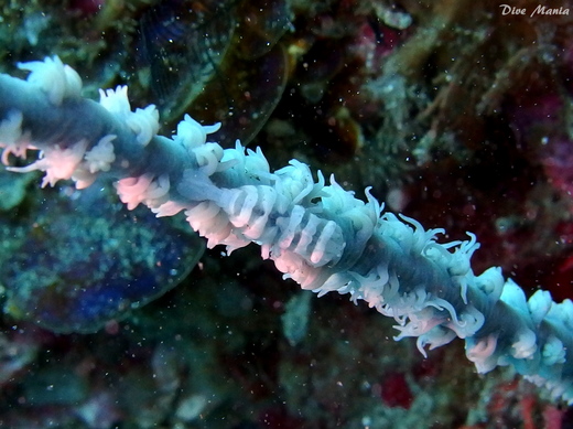 b0236647_9363450.jpg