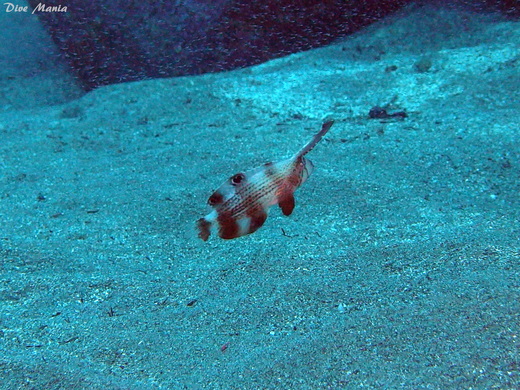 b0236647_9401778.jpg