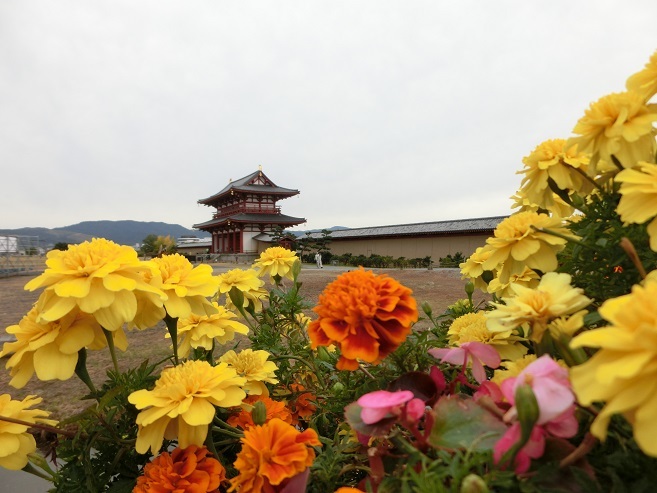a0237349_12314646.jpg