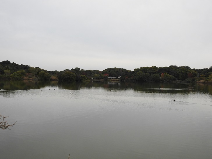 a0237349_13153784.jpg