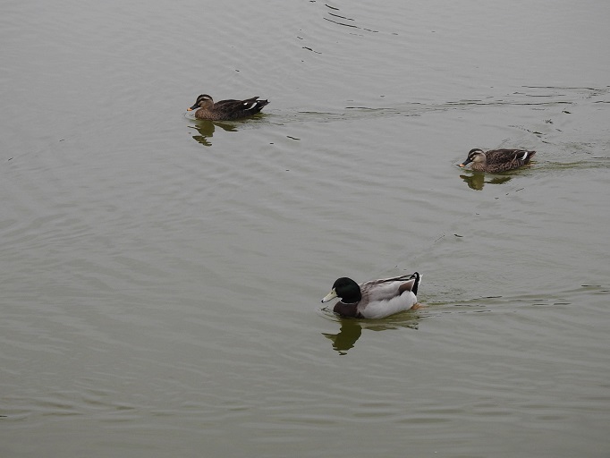 a0237349_13224949.jpg
