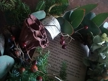 c0172261_11421646.jpg