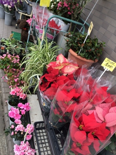 a0152665_10114240.jpeg