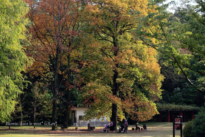 f0251765_14244137.jpg