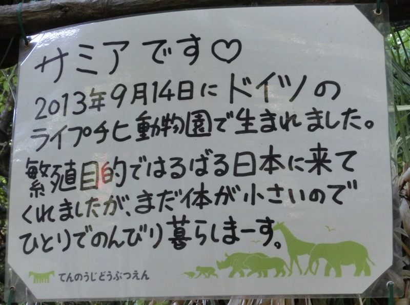 e0266067_15345908.jpg