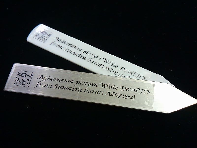 d0249970_21381481.jpg