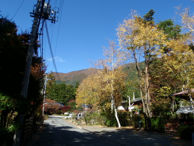 c0156371_1051857.jpg