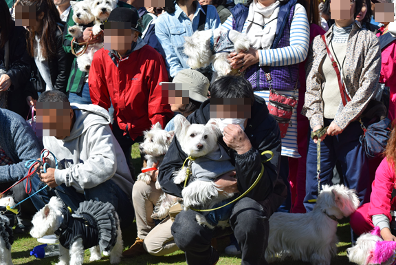 b0242873_01354249.png