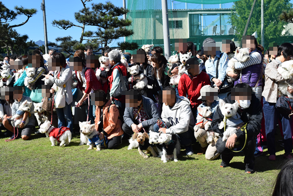 b0242873_01364941.png
