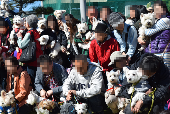 b0242873_01365739.png