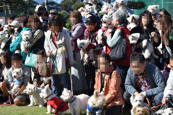 b0242873_01370752.png