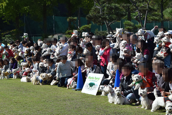 b0242873_01373425.png