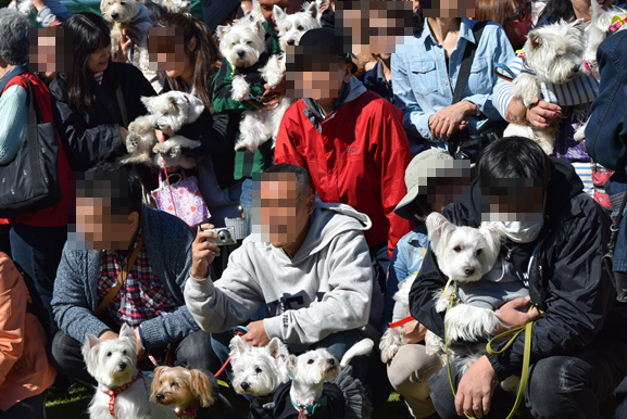 b0242873_01381461.png