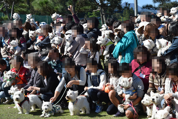 b0242873_01383080.png