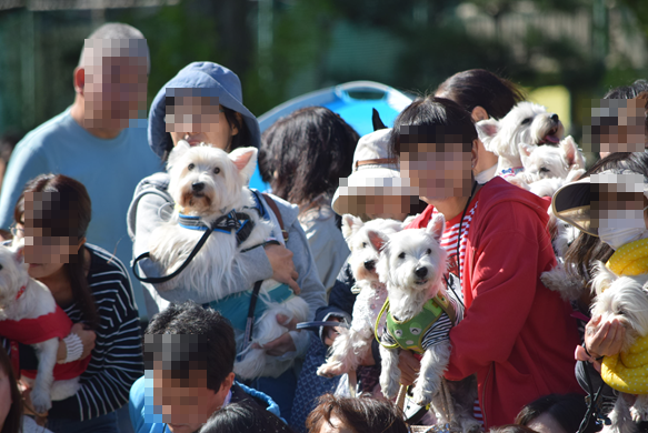 b0242873_01392526.png