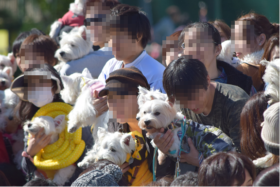 b0242873_01393562.png