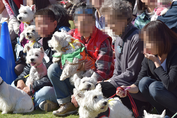 b0242873_01400181.png