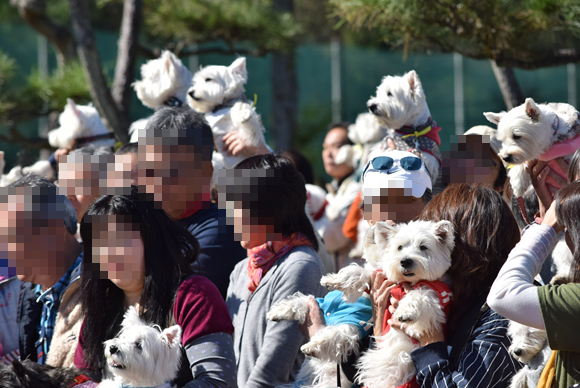 b0242873_01401088.png