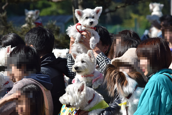 b0242873_01402381.png