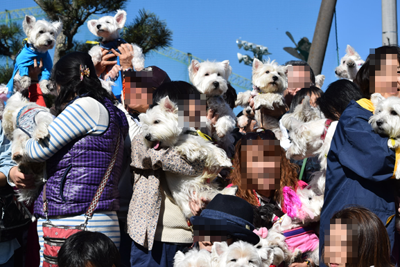 b0242873_01403360.png