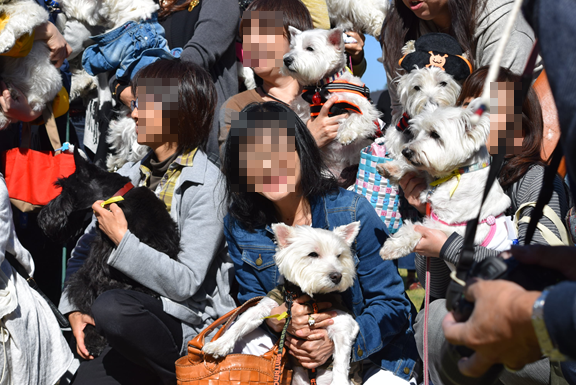 b0242873_01404771.png
