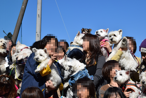 b0242873_01405827.png