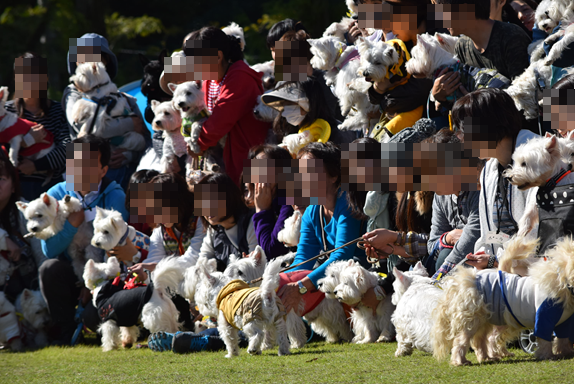 b0242873_01414125.png