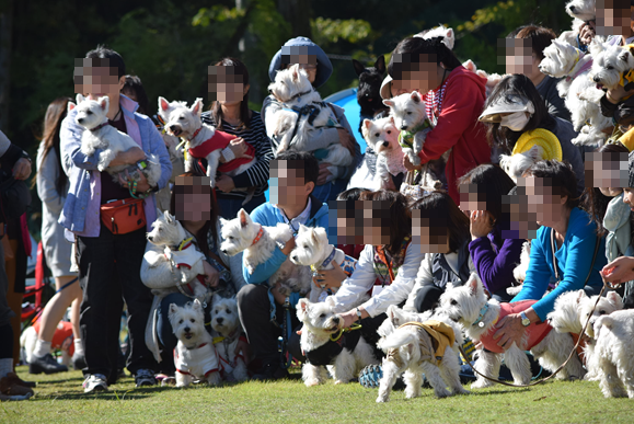 b0242873_01415840.png