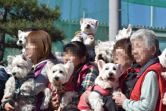 b0242873_01421484.png