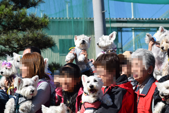 b0242873_01422983.png