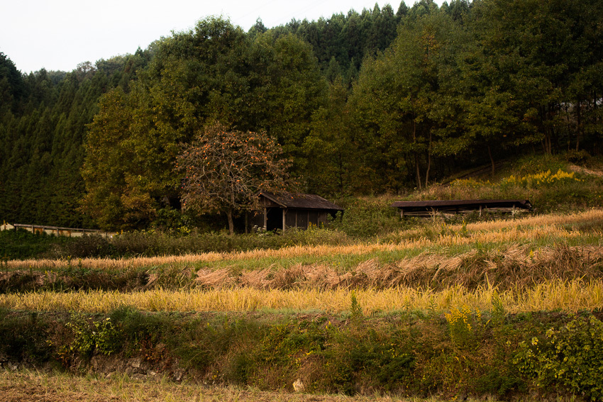a0301676_08474634.jpg