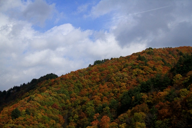 d0126577_11475025.jpg
