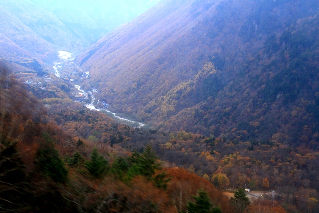 d0126577_11511823.jpg