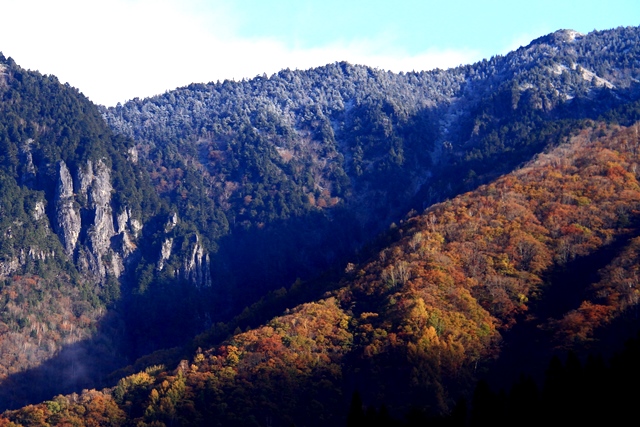 d0126577_11552140.jpg