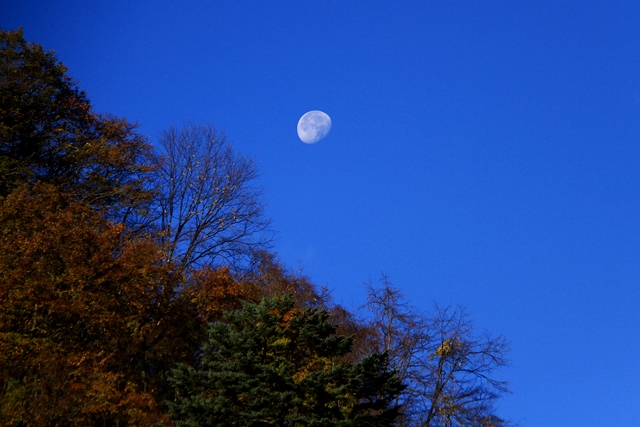 d0126577_1155356.jpg