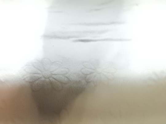 e0355177_10434017.jpg