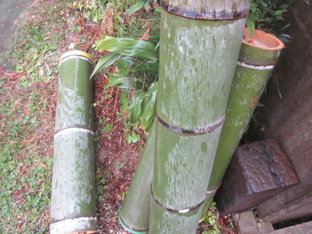 e0295878_21182109.jpg