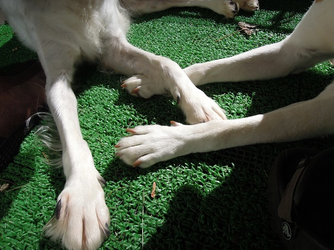 f0045283_11144138.jpg