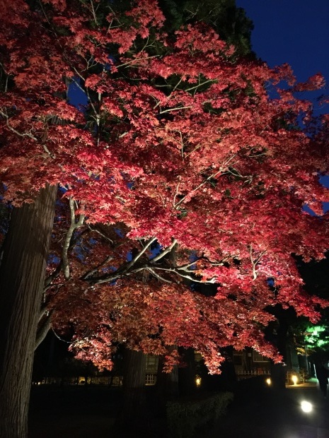 c0355484_13495874.jpg