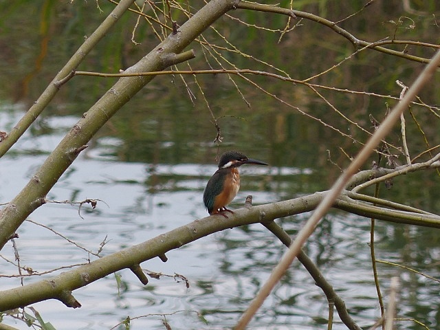 f0357487_20501459.jpg