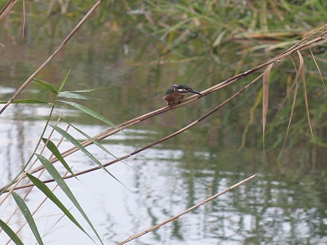 f0357487_2053193.jpg