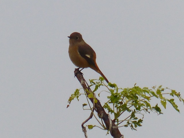 f0357487_20571656.jpg